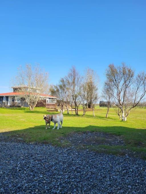 Villa Sibbu Hus Brjansstadir Exterior foto
