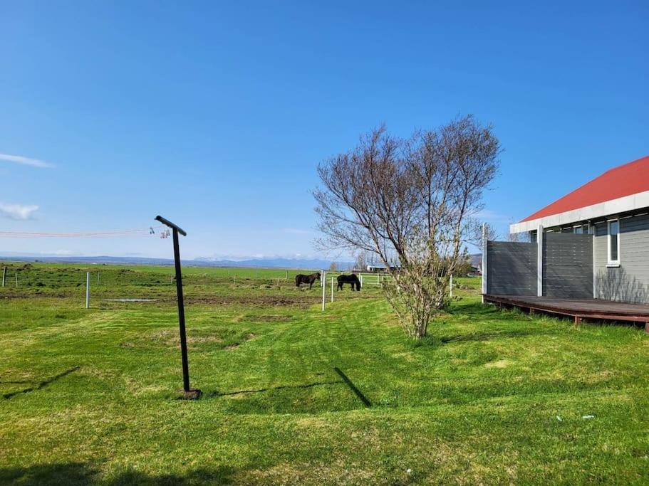 Villa Sibbu Hus Brjansstadir Exterior foto